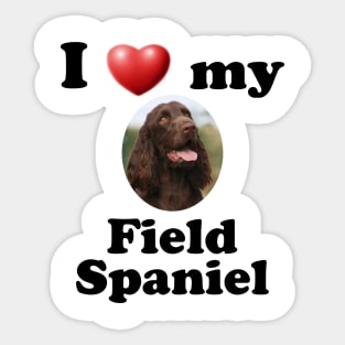 I Love My Field Spaniel Sticker